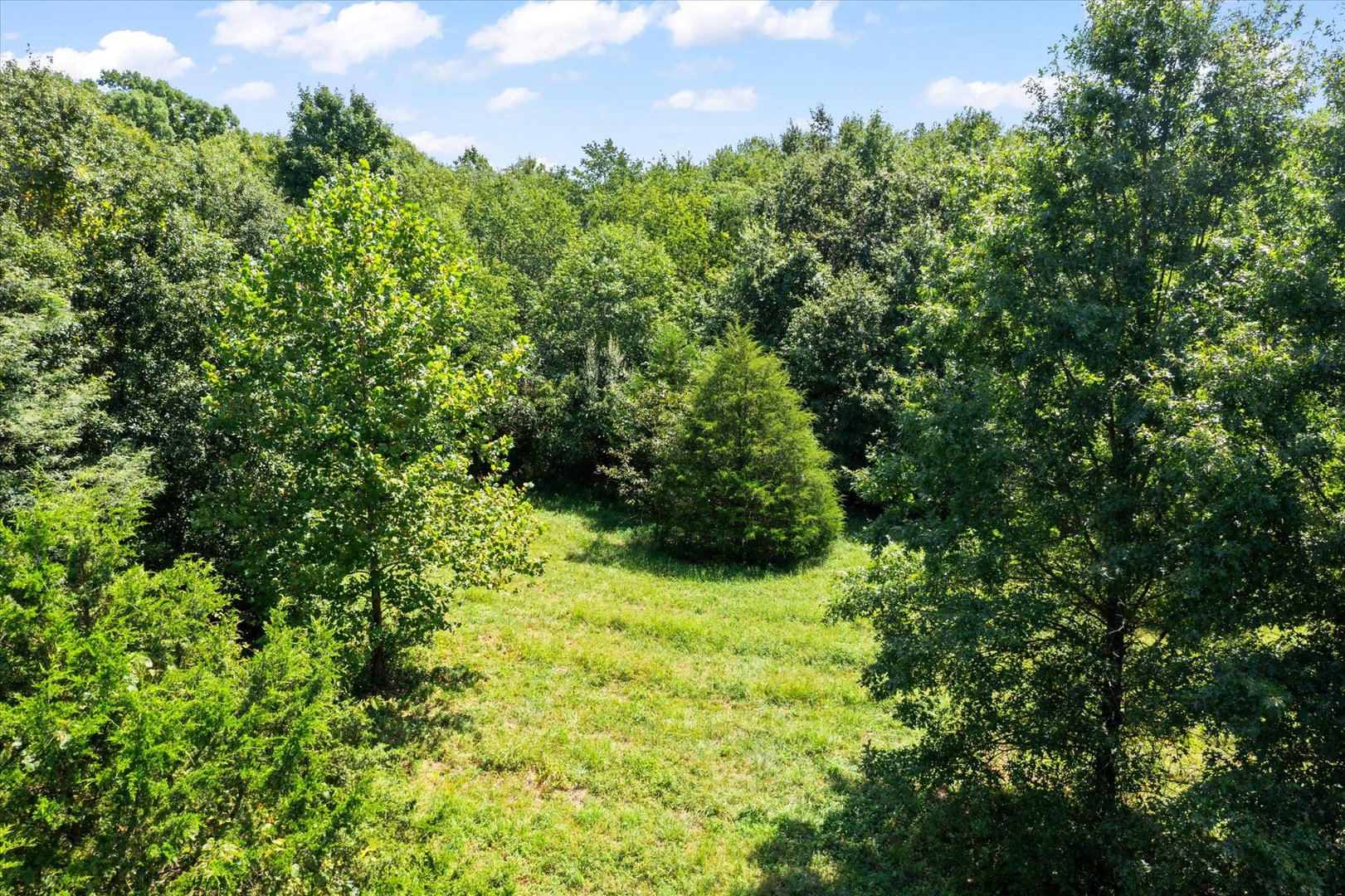 7302 River Road Iuka, IL 62849 - Photo 49 of 60 Gallery Image 49