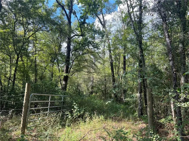 $210,000 | 0 Charlie Morse Lane, Kentwood, LA 70444