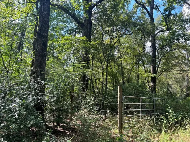 $210,000 | 0 Charlie Morse Lane, Kentwood, LA 70444