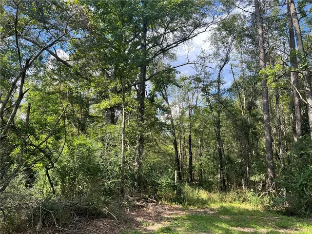 $210,000 | 0 Charlie Morse Lane, Kentwood, LA 70444