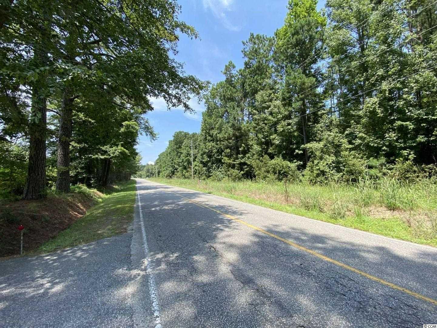 34-acres Valley Forge Road Aynor, SC 29511 - Photo 3 of 7 Gallery Image 3