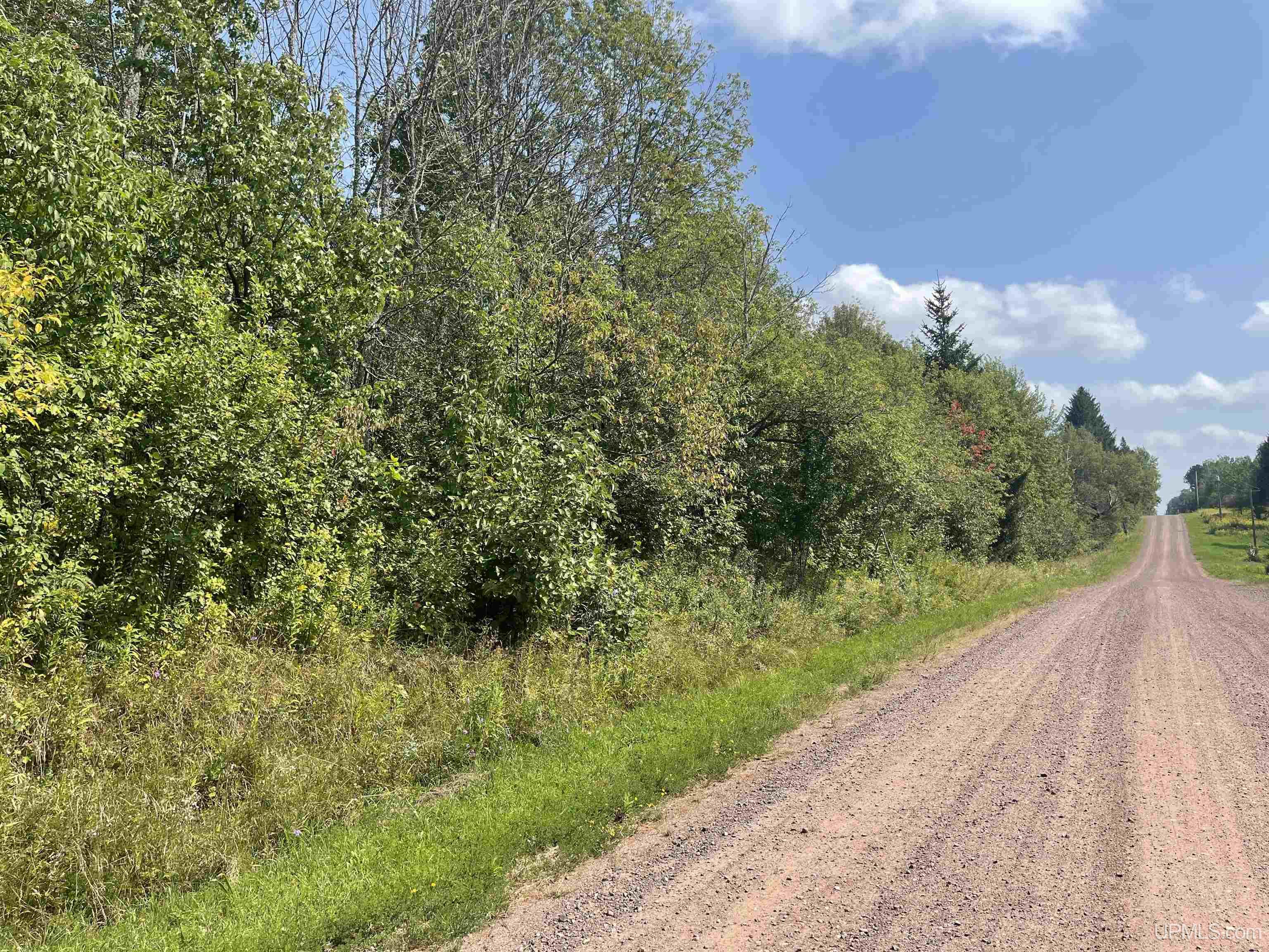 Tbd Tbd Sandene Road Bessemer, MI 49911 - Photo 4 of 7