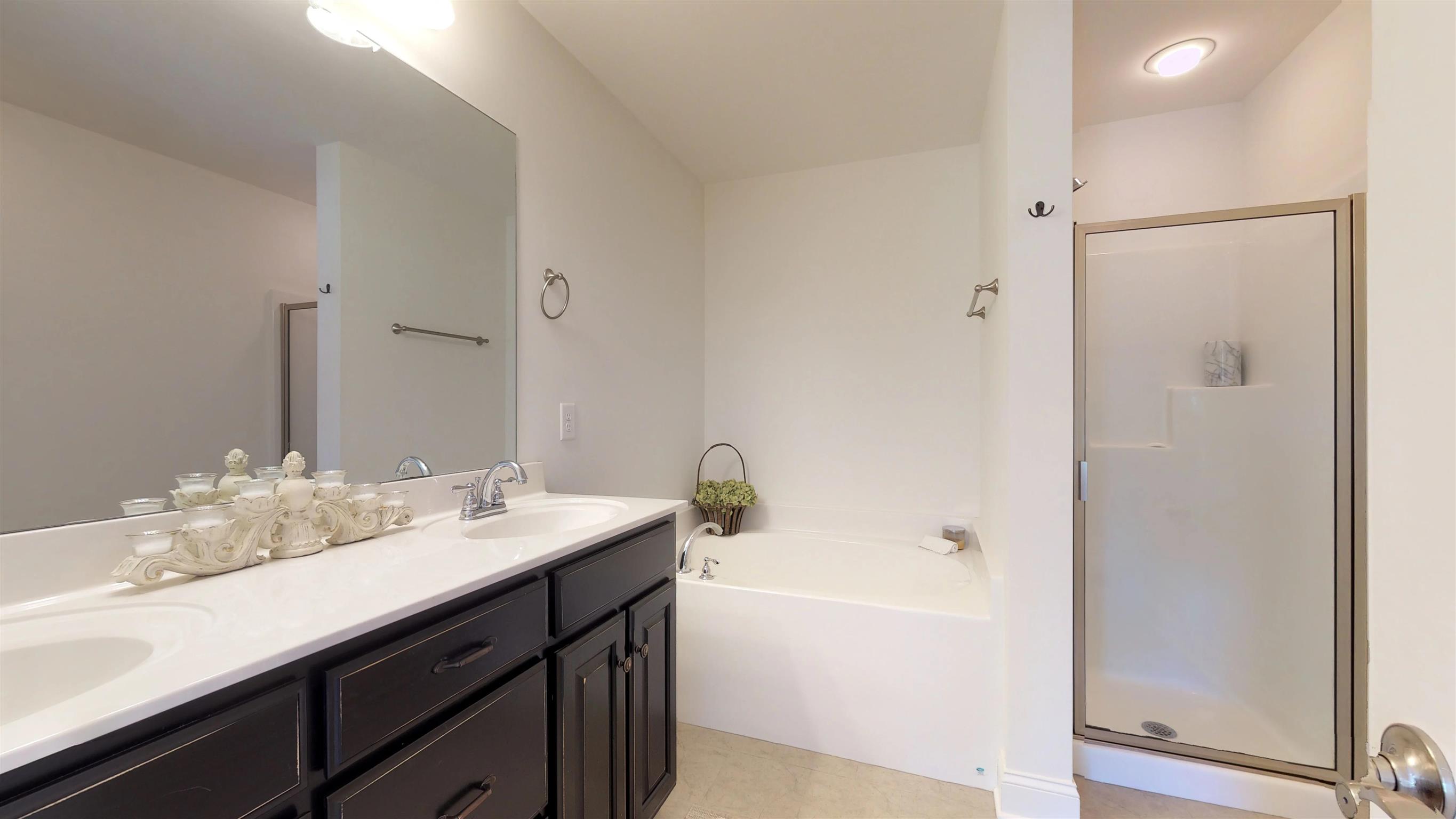 1065 Irish Way Spring Hill, TN 37174 - Photo 15 of 28 a bathroom with a tub sink and mirror