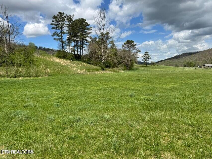 112 Shiloh Road Allred, TN 38542 - Photo 59 of 60 243662_58