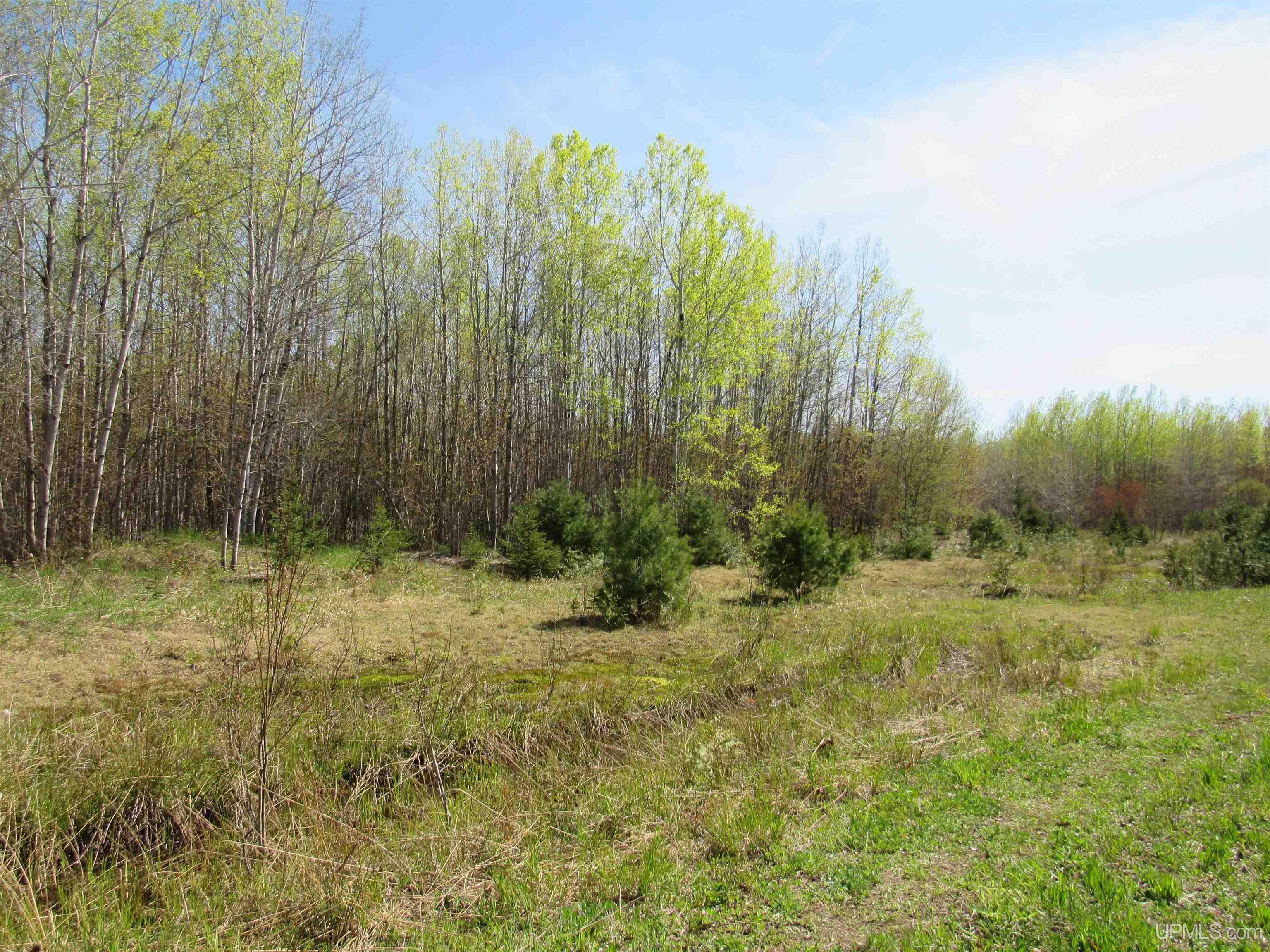 Tbd Off Rice Lake Road, Unit NO DRIVE BYS Lake Linden, MI 49945 - Photo 12 of 40