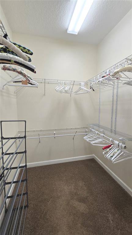 4307 Britt Road Mount Dora, FL 32757 - Photo 28 of 100