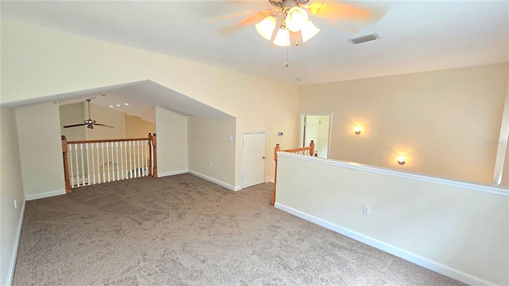 4307 Britt Road Mount Dora, FL 32757 - Photo 52 of 100