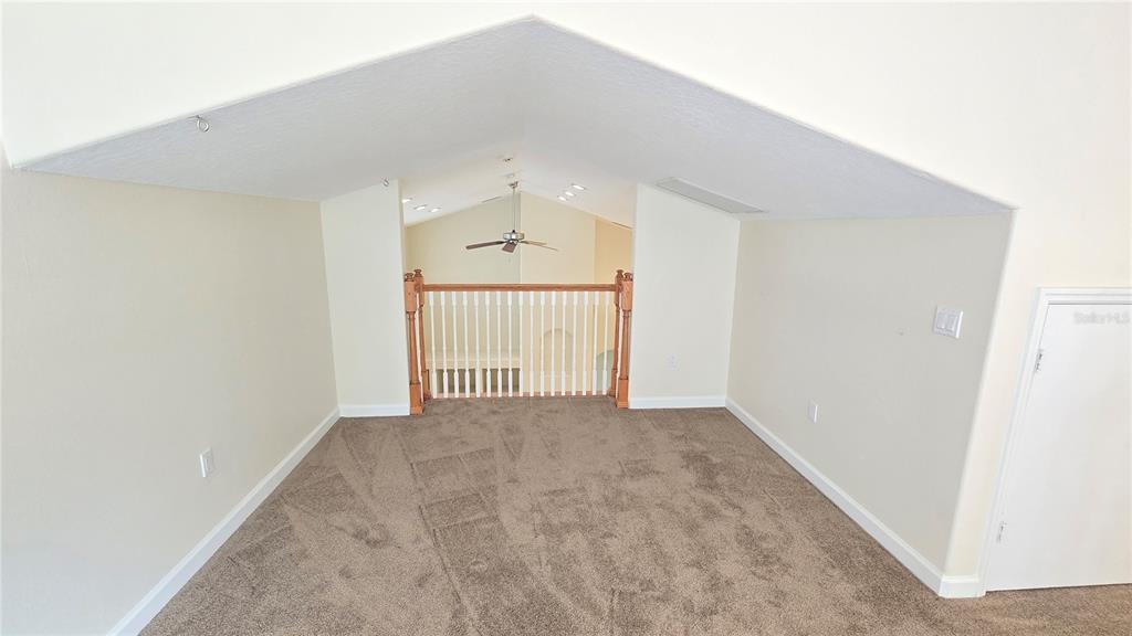 4307 Britt Road Mount Dora, FL 32757 - Photo 53 of 100