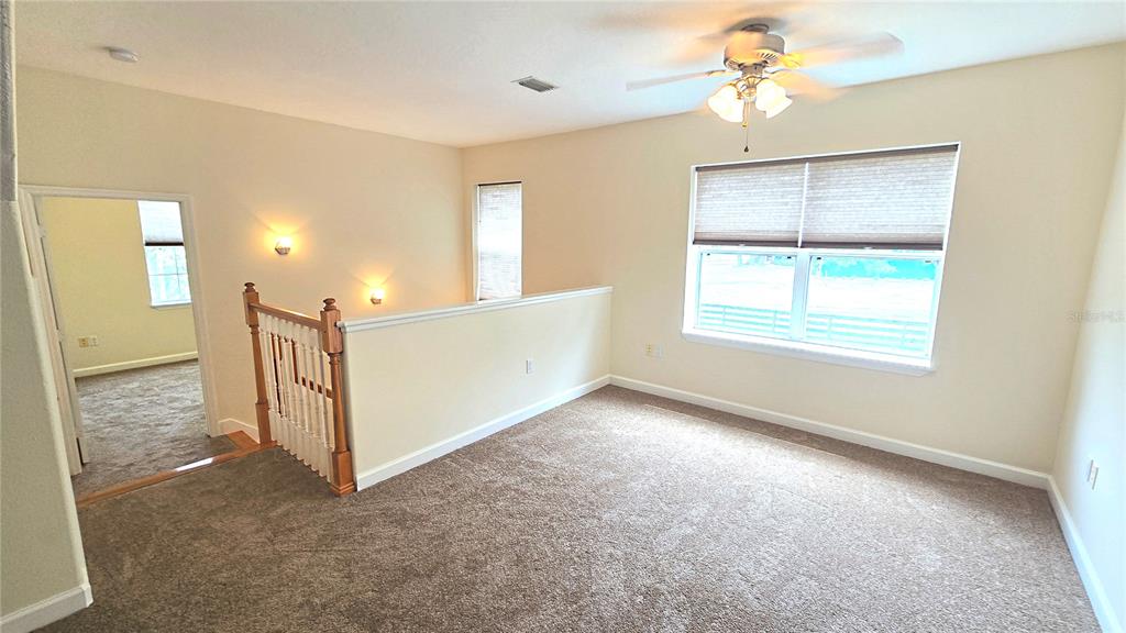 4307 Britt Road Mount Dora, FL 32757 - Photo 54 of 100