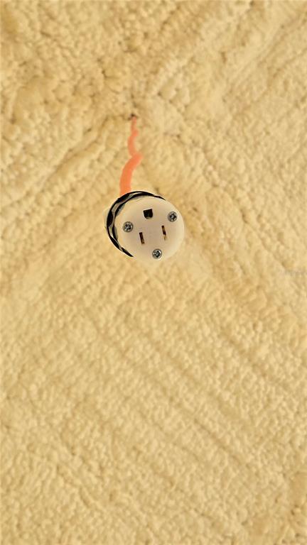 4307 Britt Road Mount Dora, FL 32757 - Photo 85 of 100