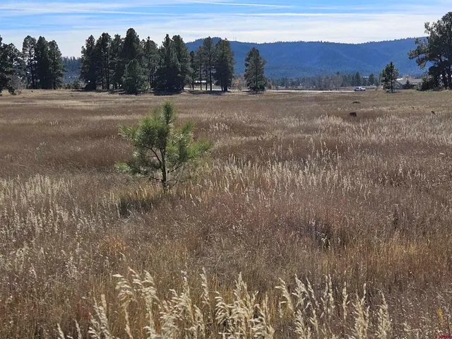 a view of an outdoor space and trees