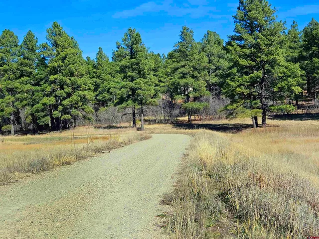 $19,995 | 97 Sandlewood Drive, Pagosa Springs, CO 81147