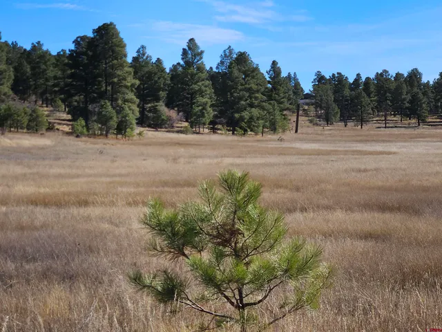 a view of a backyard of the house