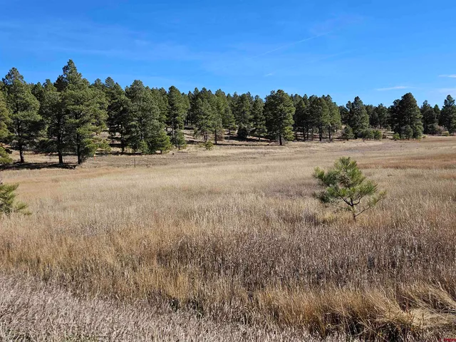a view of lake with green space