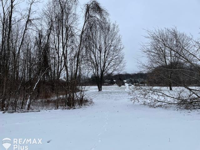 Parcel C Roods Lake Road Lapeer, MI 48446 - Photo 6 of 8