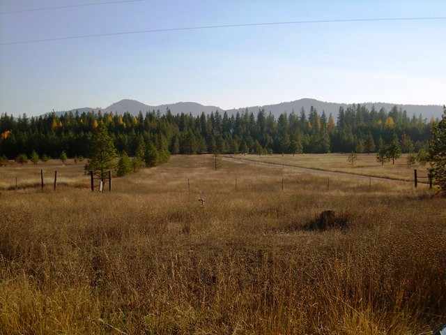 0 Timber Mountain Road Newport, WA 99156 - Photo 1 of 7 Gallery Image 1