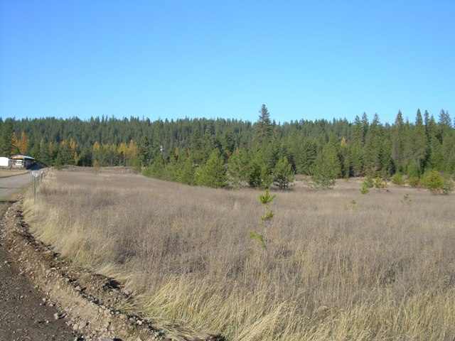 0 Timber Mountain Road Newport, WA 99156 - Photo 3 of 7 Gallery Image 3