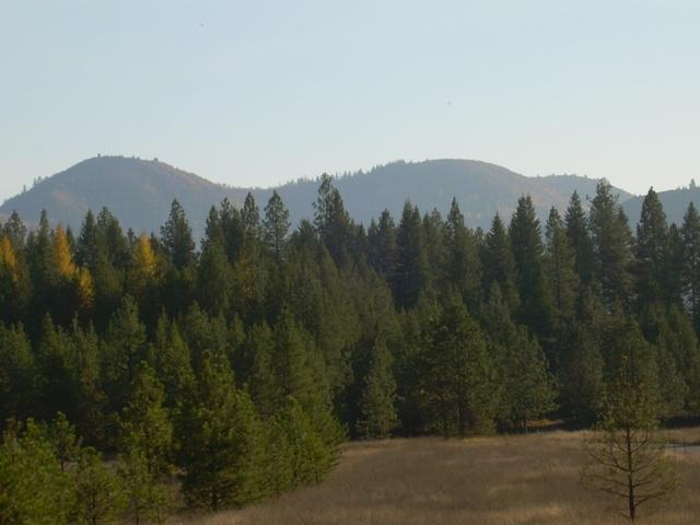 0 Timber Mountain Road Newport, WA 99156 - Photo 5 of 7 Gallery Image 5