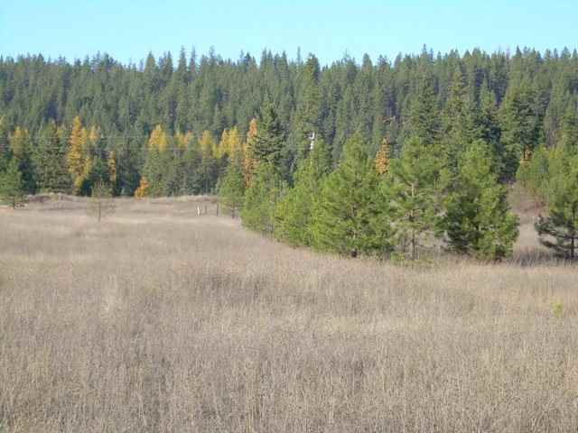 0 Timber Mountain Road Newport, WA 99156 - Photo 6 of 7 Gallery Image 6