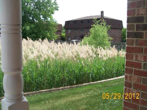 426 North River Road Naperville, IL 60540 - Photo 12 of 12