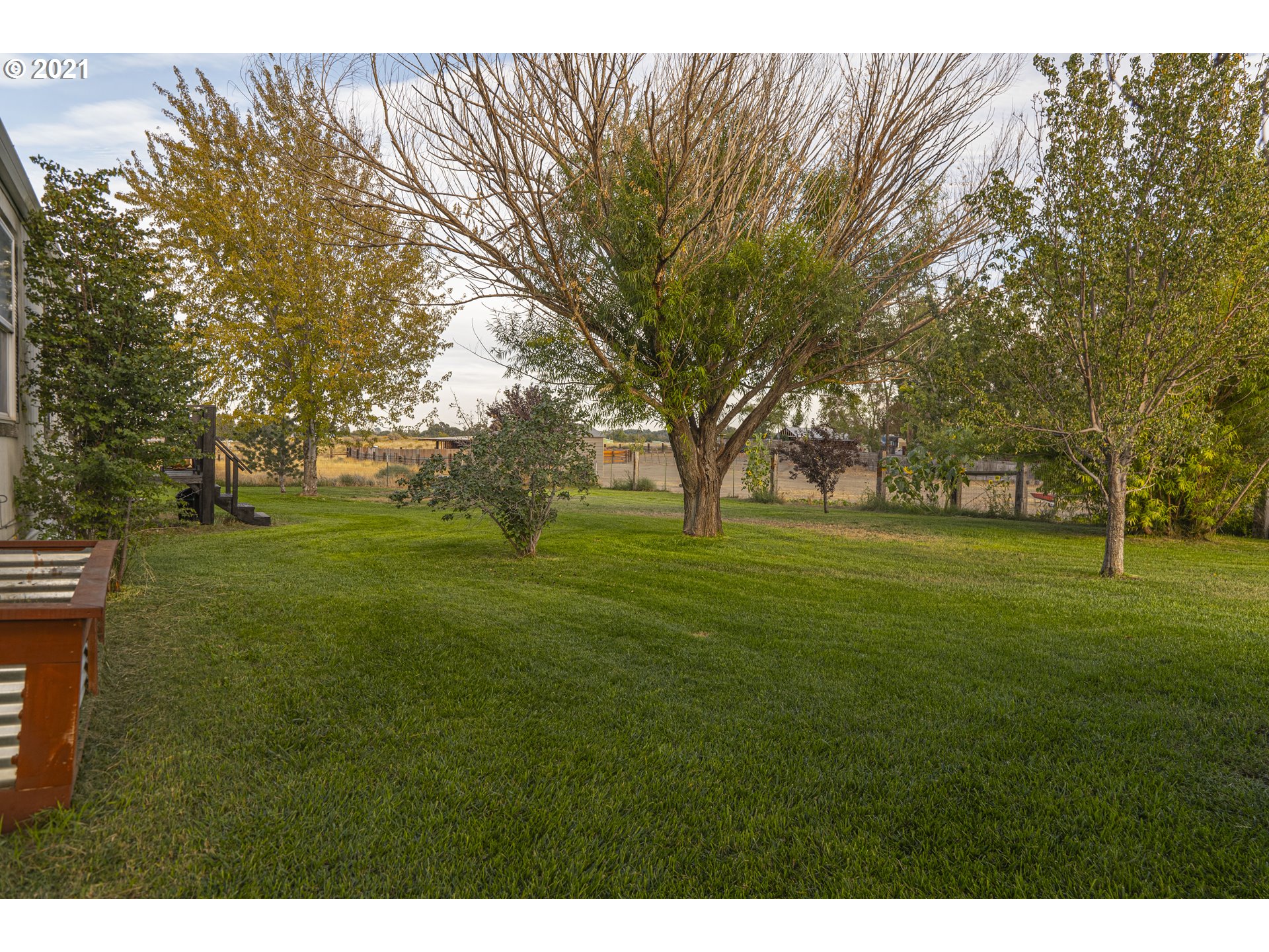2230 North Ott Road Hermiston, OR 97838 - Photo 22 of 32 a big yard with trees
