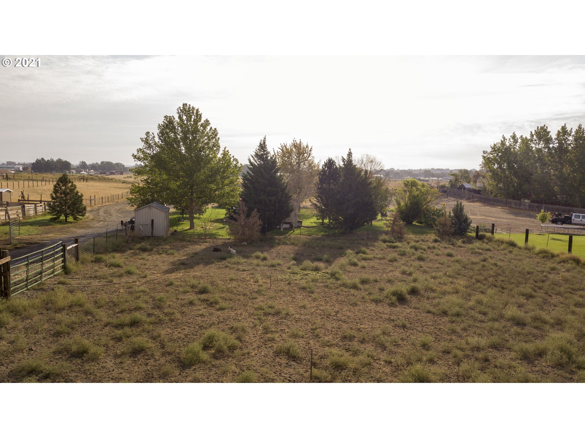 2230 North Ott Road Hermiston, OR 97838 - Photo 29 of 32 a open area with trees in the background