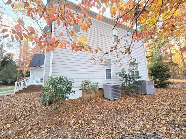 a potted plants sitting in front of a house