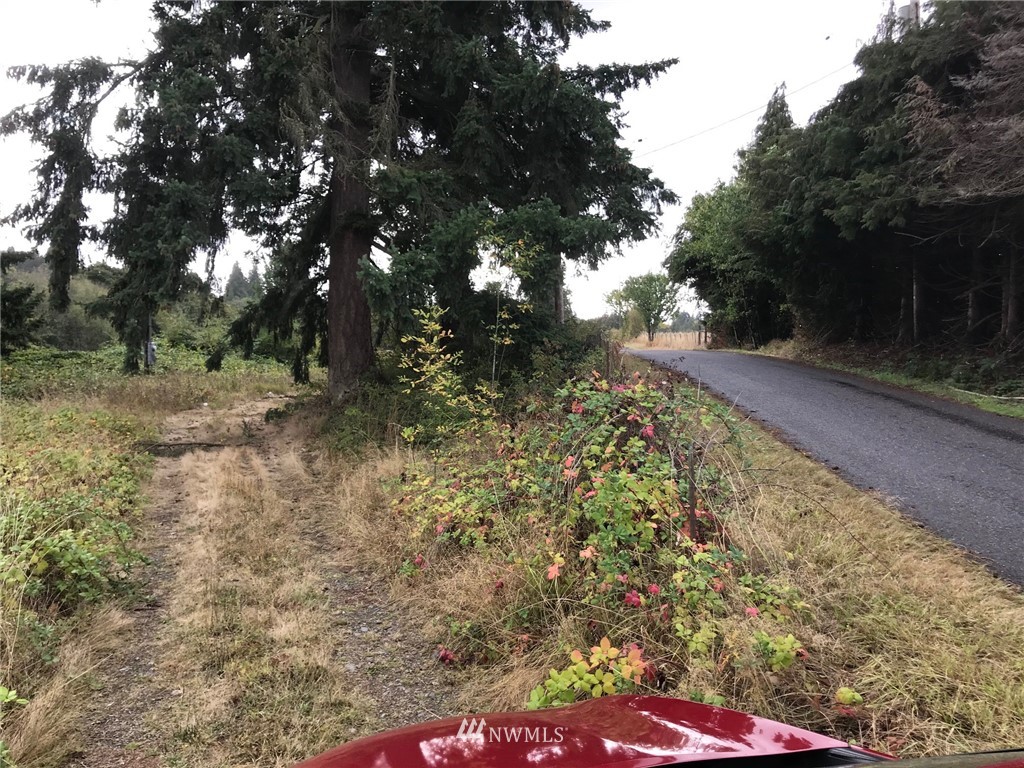 1738 South Timm Road Ridgefield, WA 98642 - Photo 2 of 16 a view of a yard with plants and trees