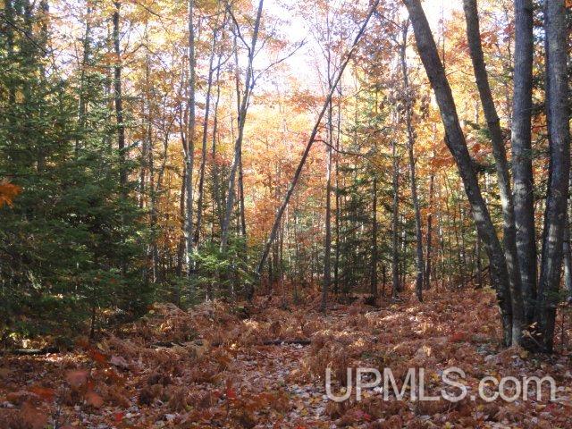 Tbd Tbd Off Townline Road Lanse, MI 49946 - Photo 13 of 18