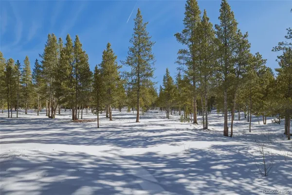 $815,000 | 560 Alpine Cirque, Leadville, CO 80461