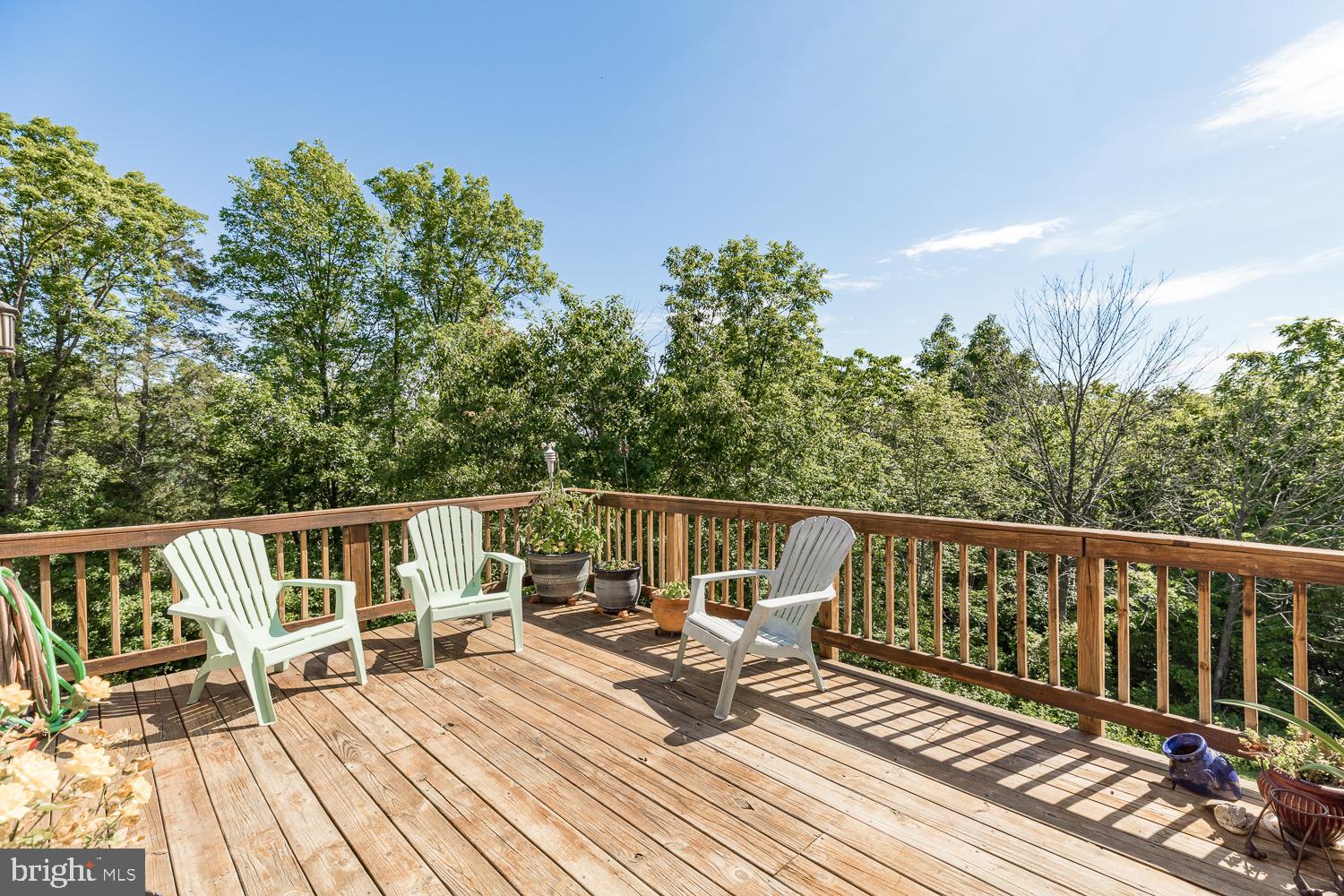 3 Bluff Road Strasburg, VA 22657 - Photo 21 of 85 360 degree views