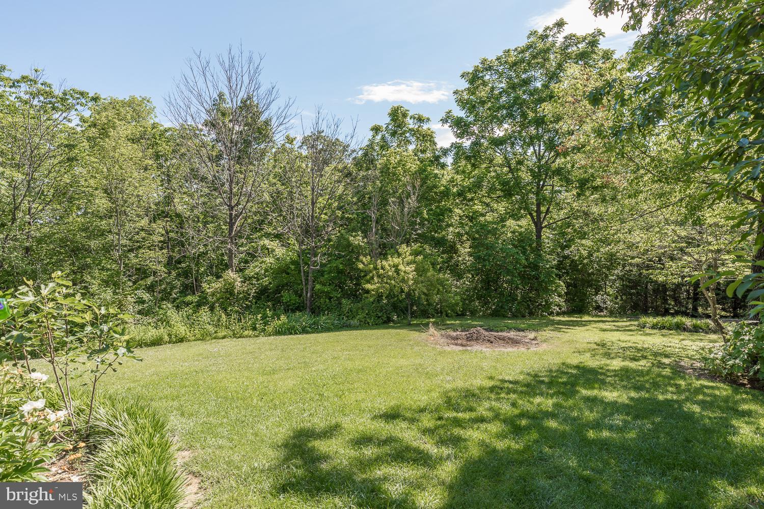 3 Bluff Road Strasburg, VA 22657 - Photo 26 of 85 Open grassy area on top of lots of wooded area