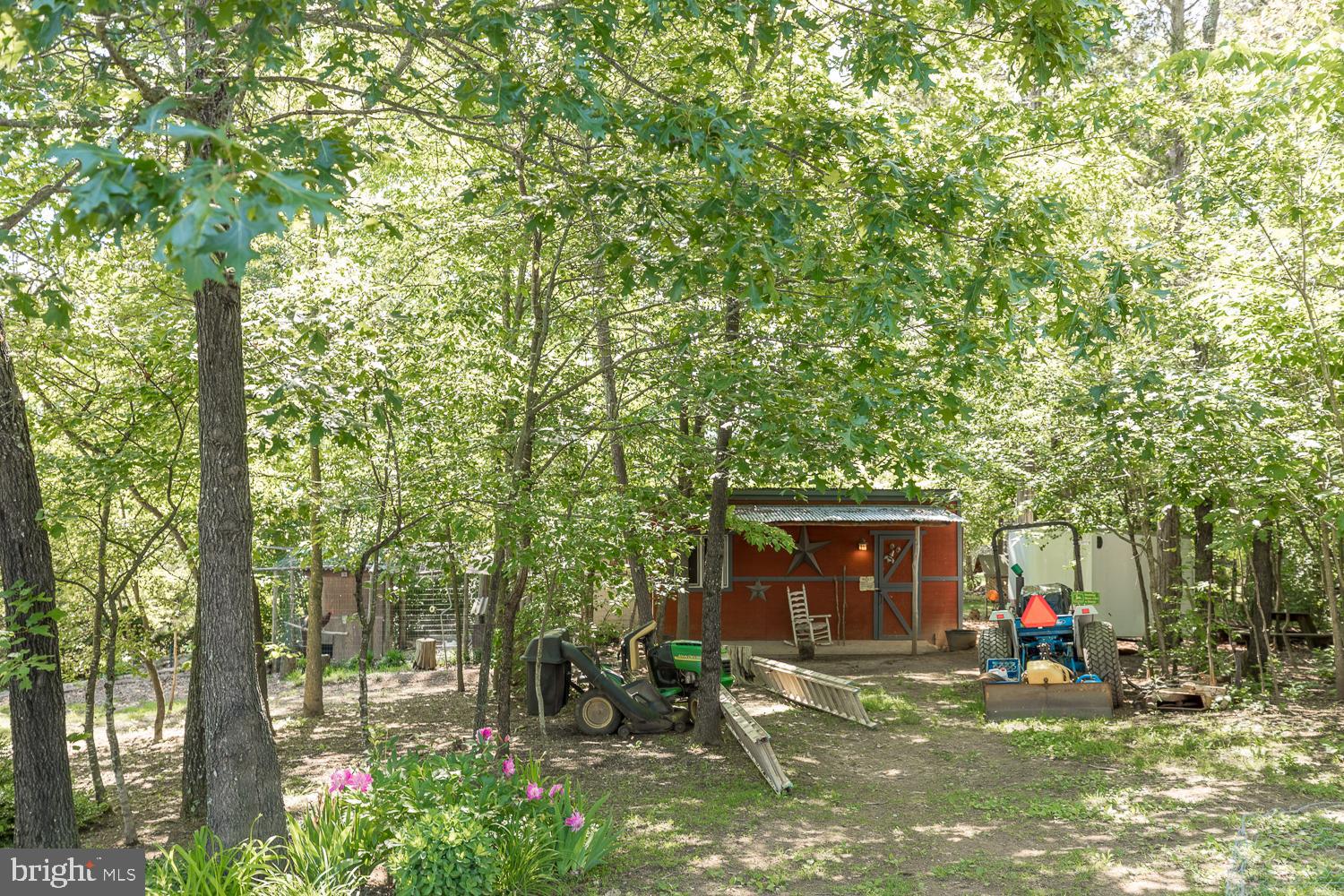 3 Bluff Road Strasburg, VA 22657 - Photo 46 of 85