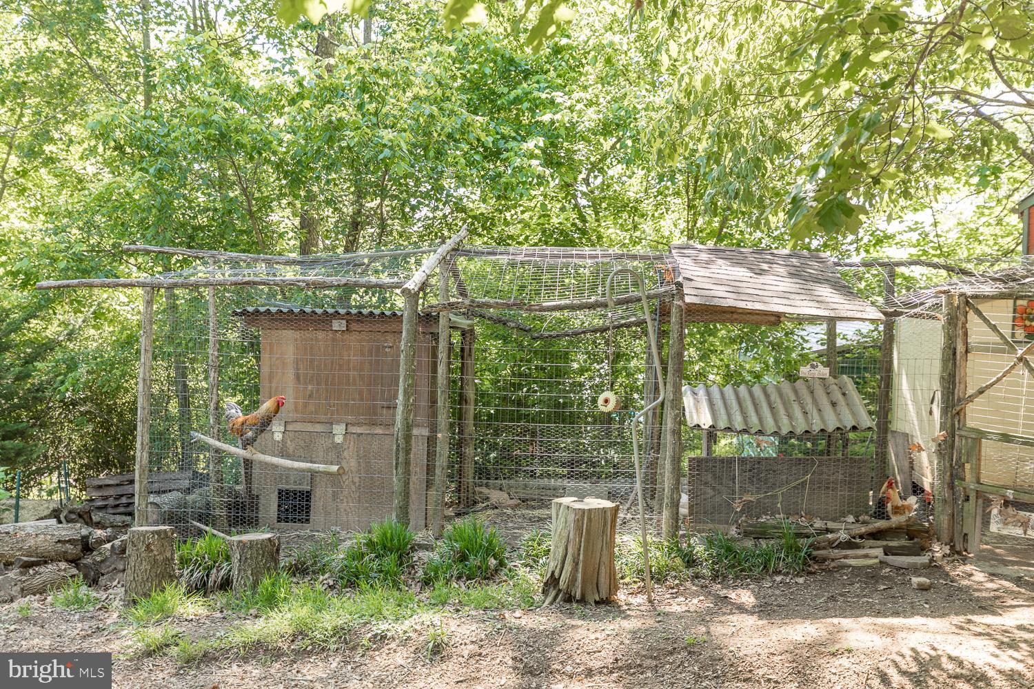 3 Bluff Road Strasburg, VA 22657 - Photo 47 of 85