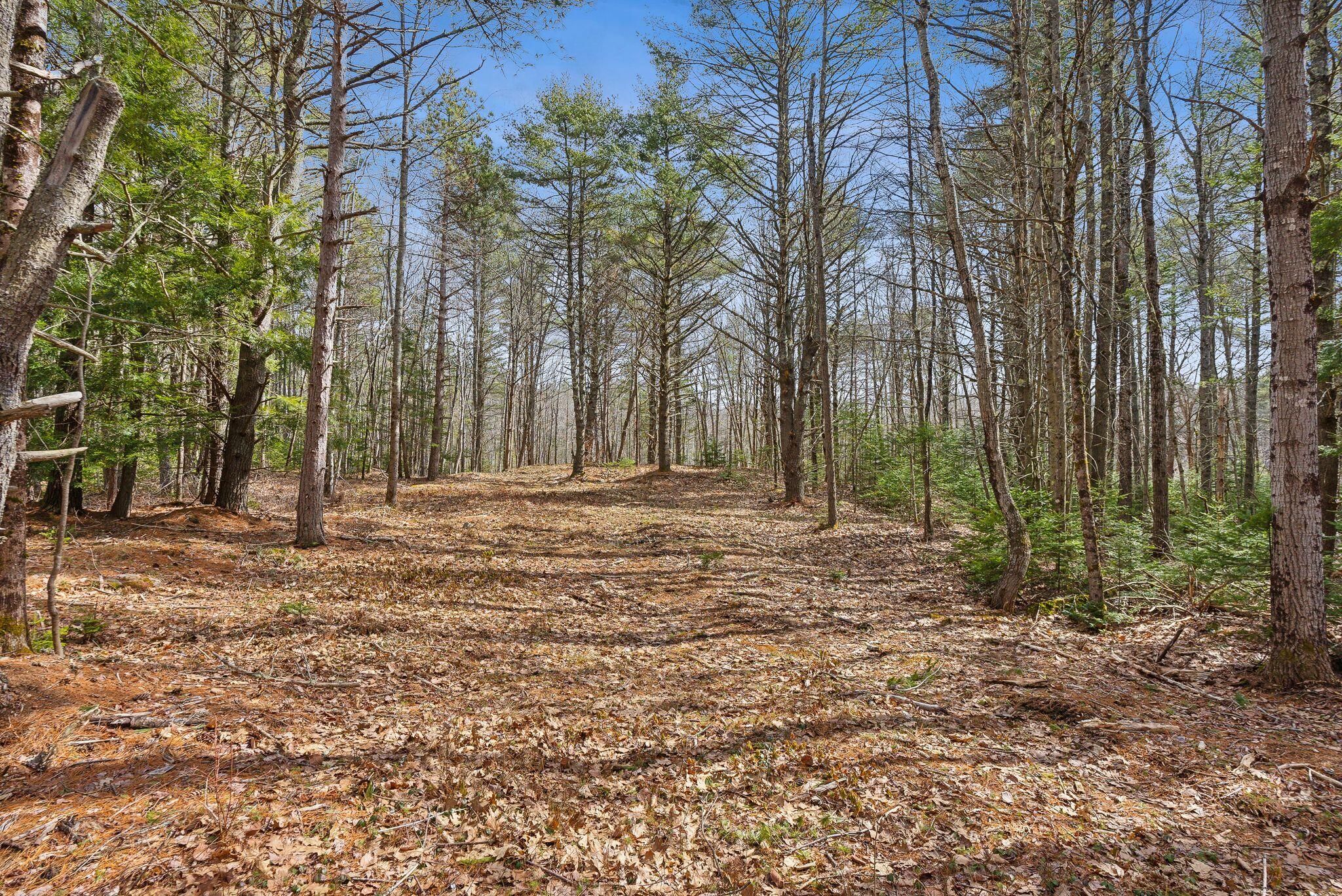 Tbd Arundel Road Kennebunkport, ME 04046 - Photo 4 of 8 2_DSC09107