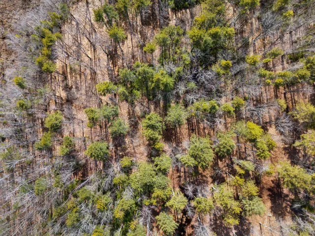 $529,000 | Tbd Arundel Road, Kennebunkport, ME 04046