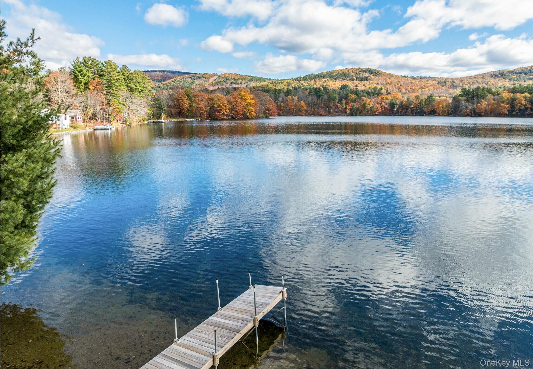 127 Queechy Shore Beach Road Canaan, NY 12029 - Photo 2 of 36 a view of a lake
