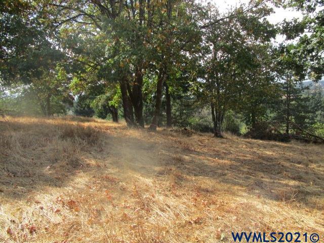 1066 Twin Hills Road Southeast Jefferson, OR 97352 - Photo 6 of 13