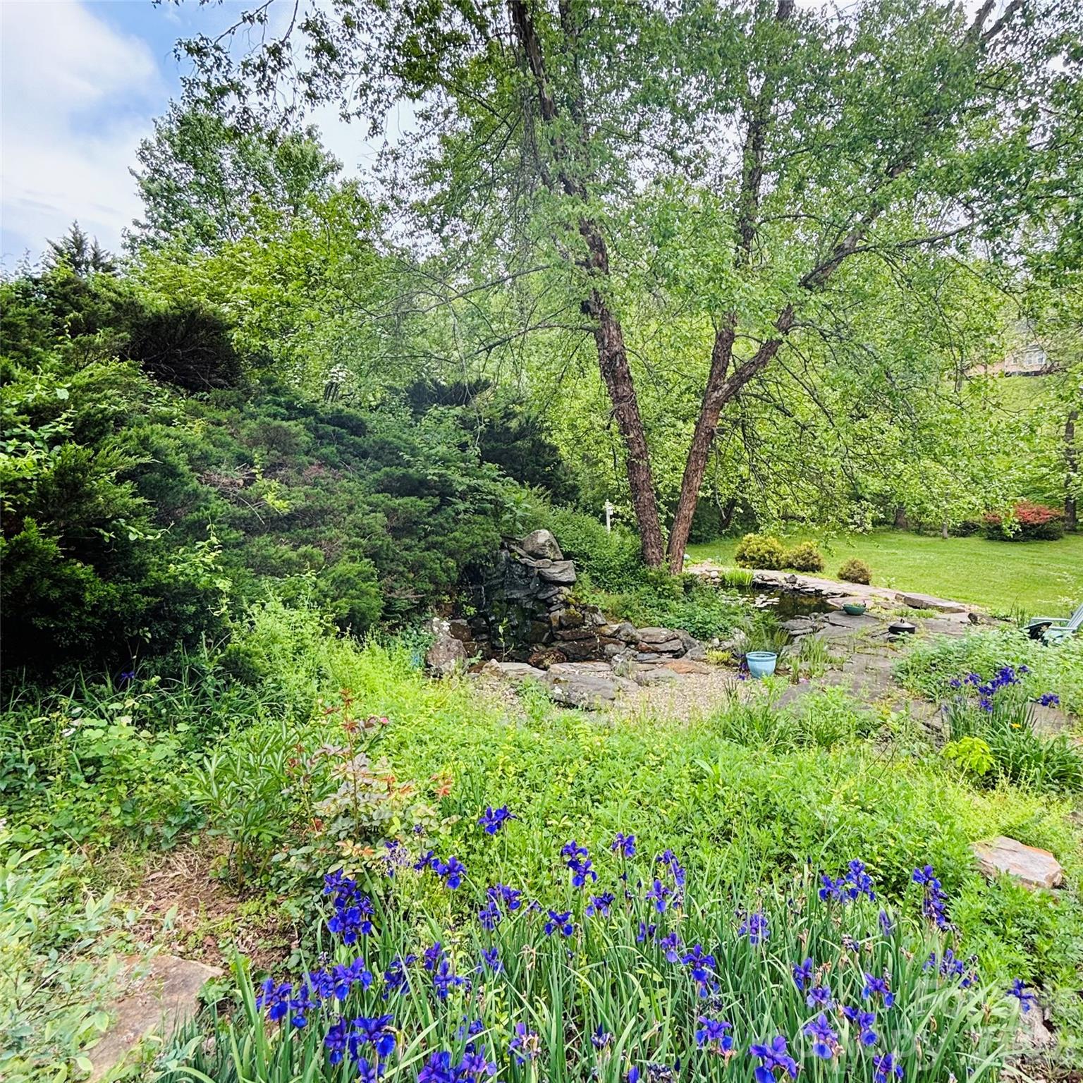 27 Sun Valley Court Alexander, NC 28701 - Photo 2 of 2 a view of a garden with plants and large trees