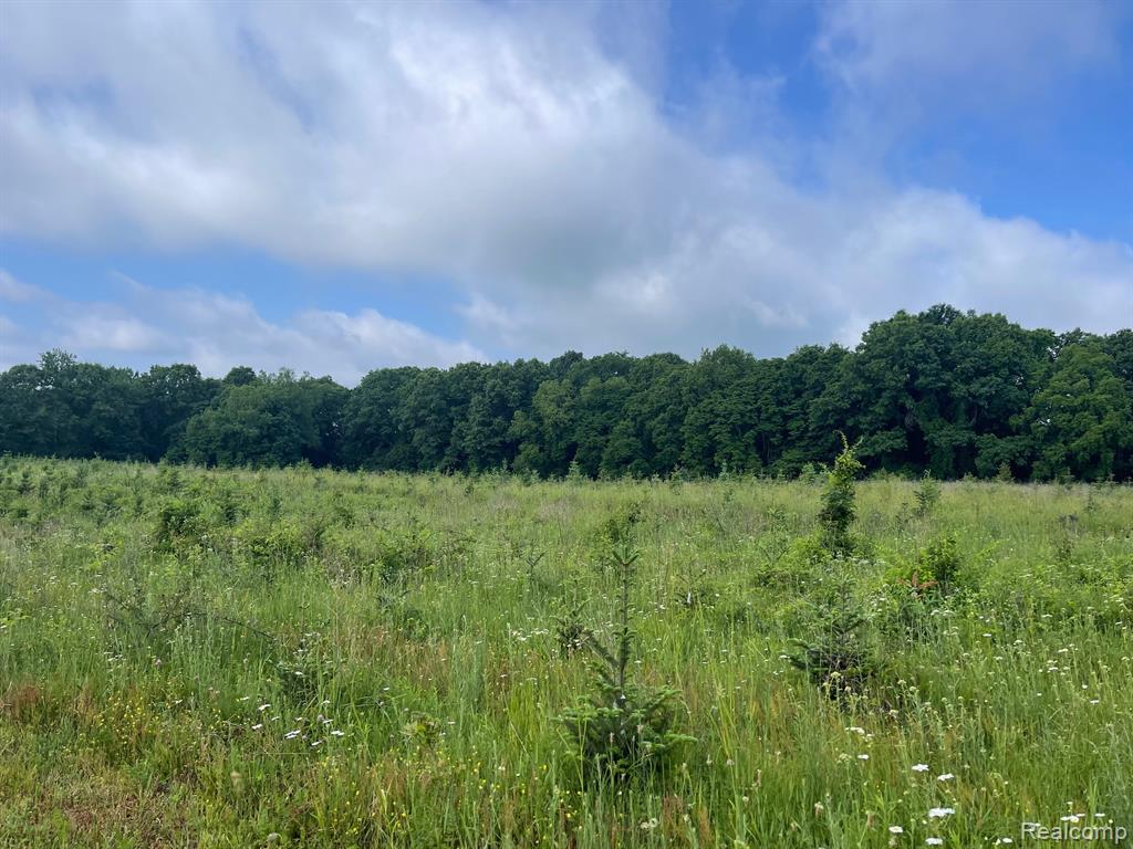 8 North Tipsico Lake Road Highland, MI 48357 - Photo 3 of 18