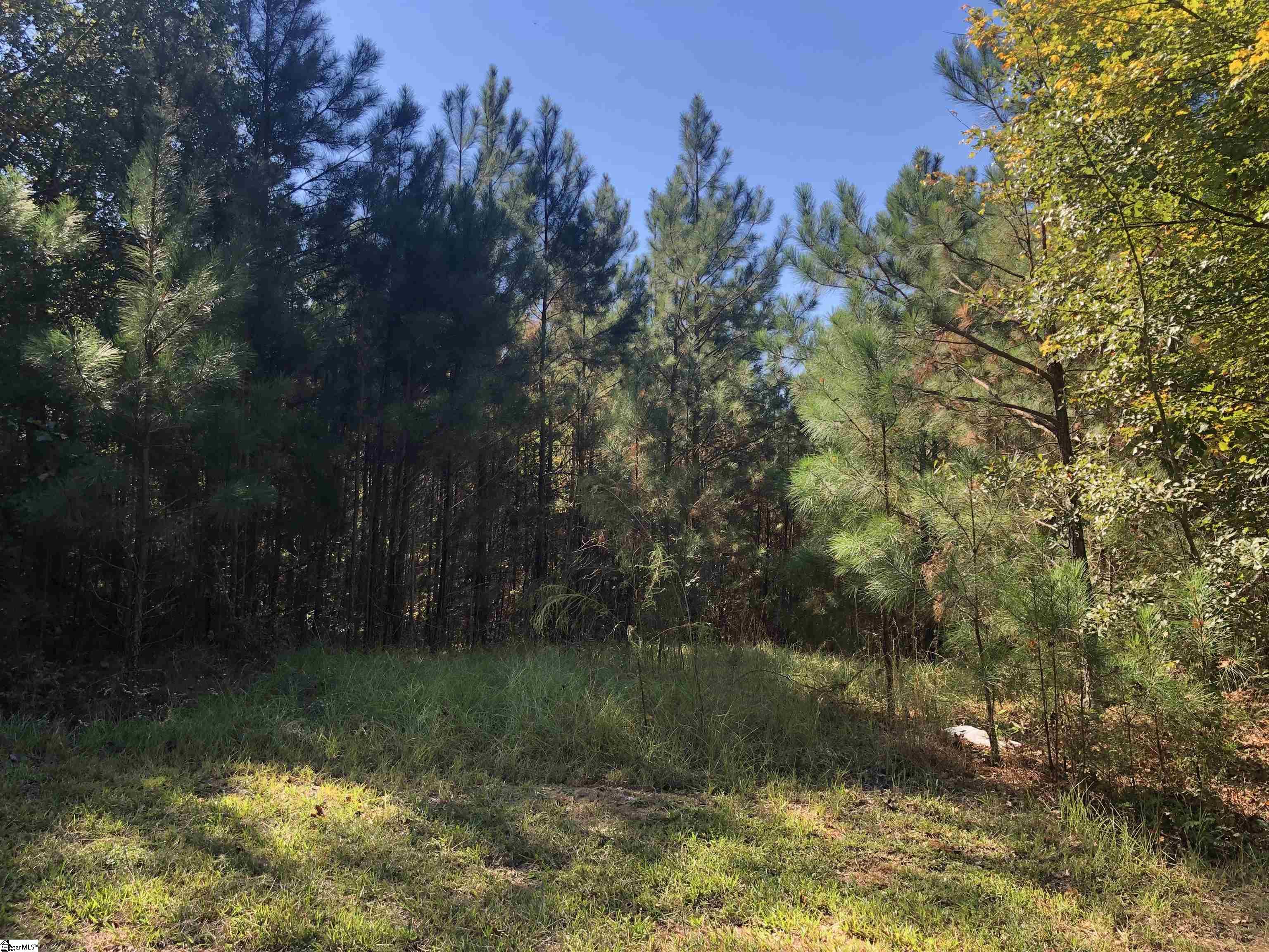 0 Kelly Road Cross Hill, SC 29332 - Photo 1 of 9 Gallery Image 1