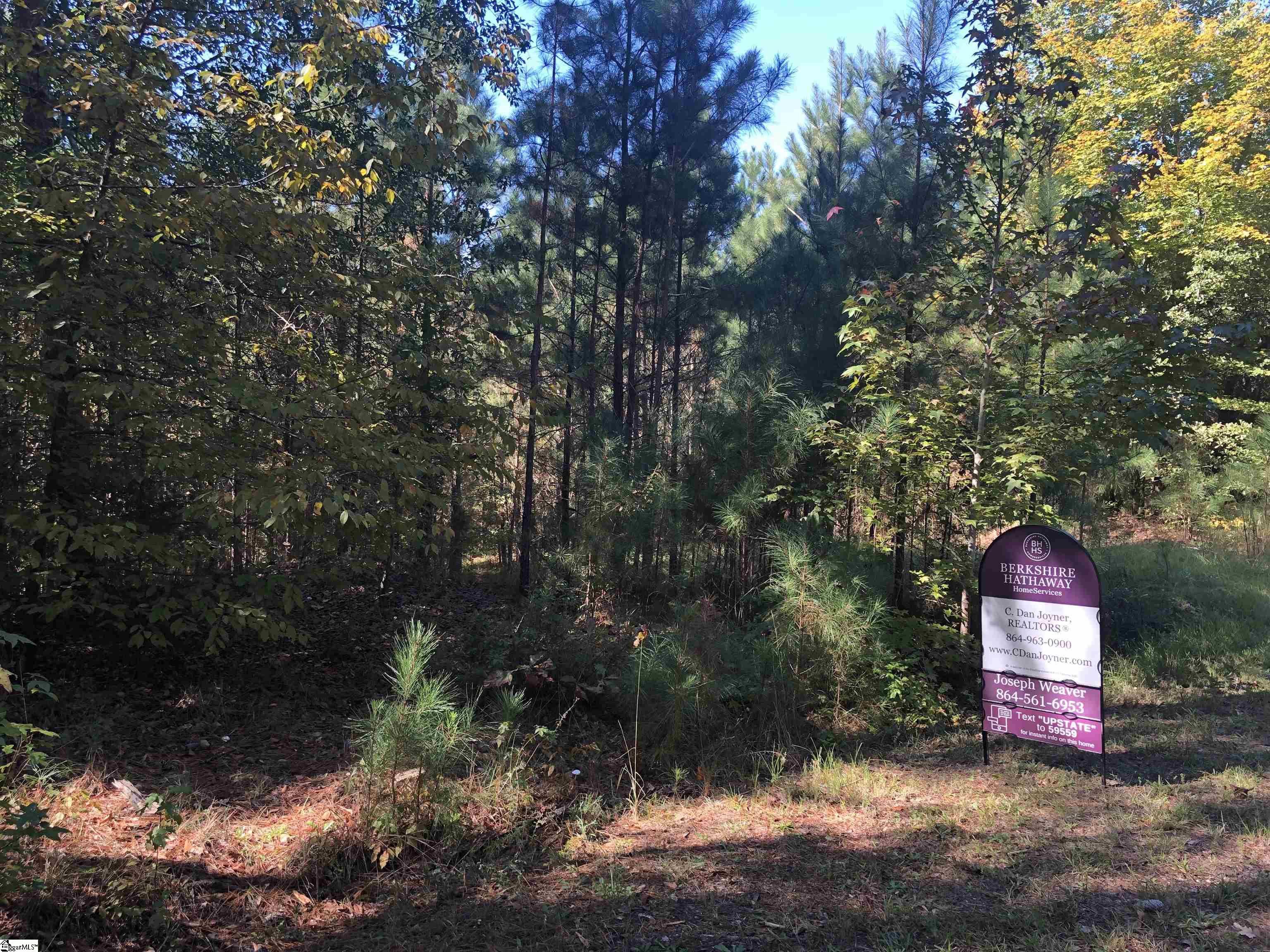 0 Kelly Road Cross Hill, SC 29332 - Photo 3 of 9 Gallery Image 3