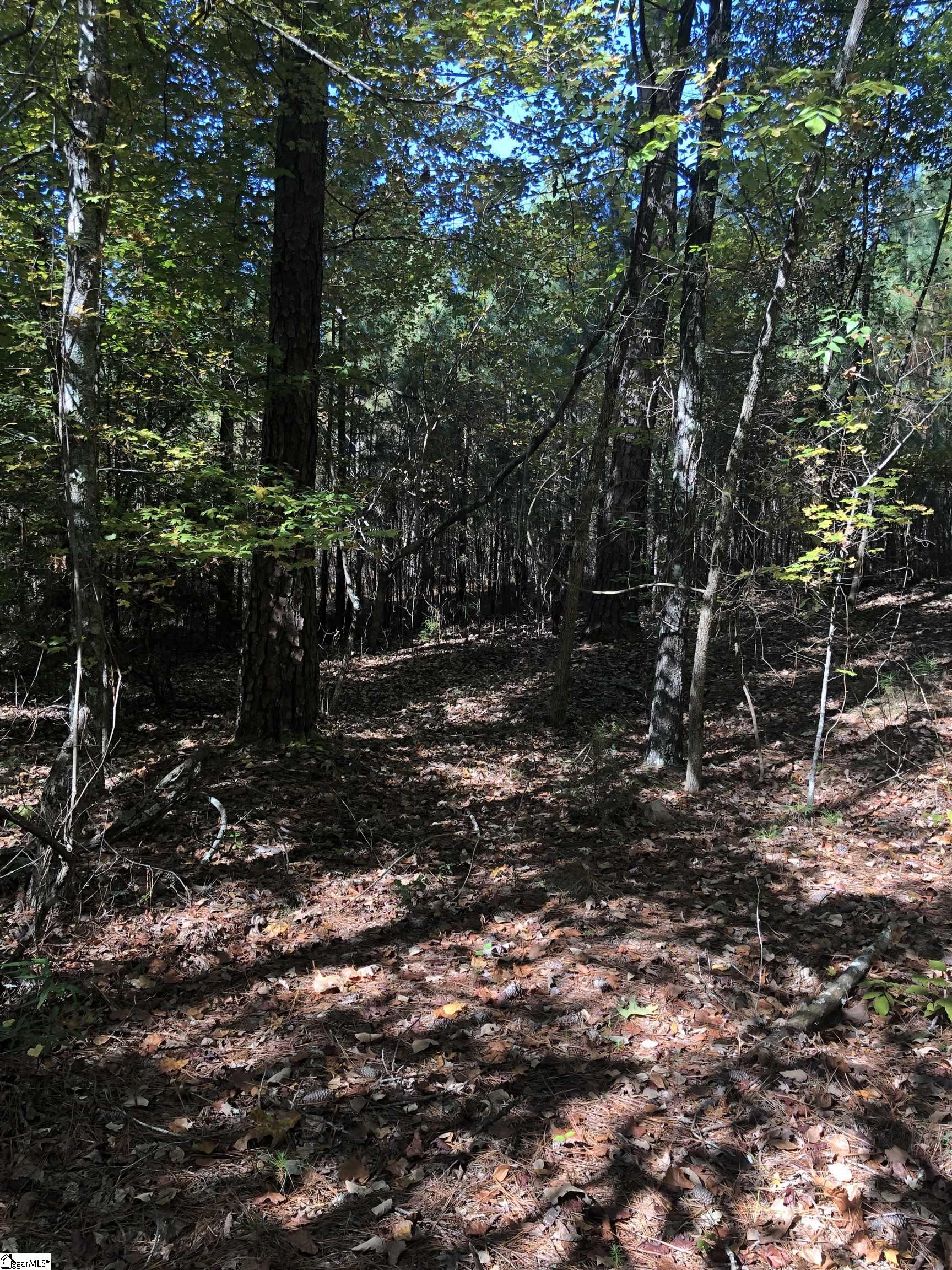 0 Kelly Road Cross Hill, SC 29332 - Photo 5 of 9 Gallery Image 5