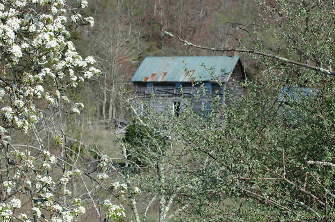 Lot J Springdale Road Pearisburg, VA 24134 - Photo 3 of 51 Gallery Image 3