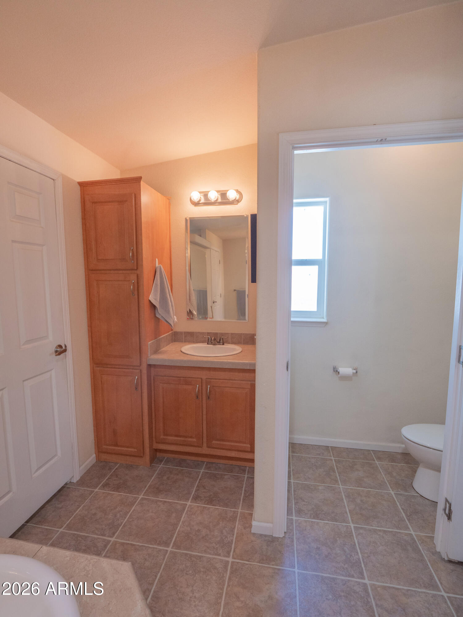 1401 Ranch Road Taylor, AZ 85939 - Photo 36 of 61 a bathroom with a sink a toilet and a mirror