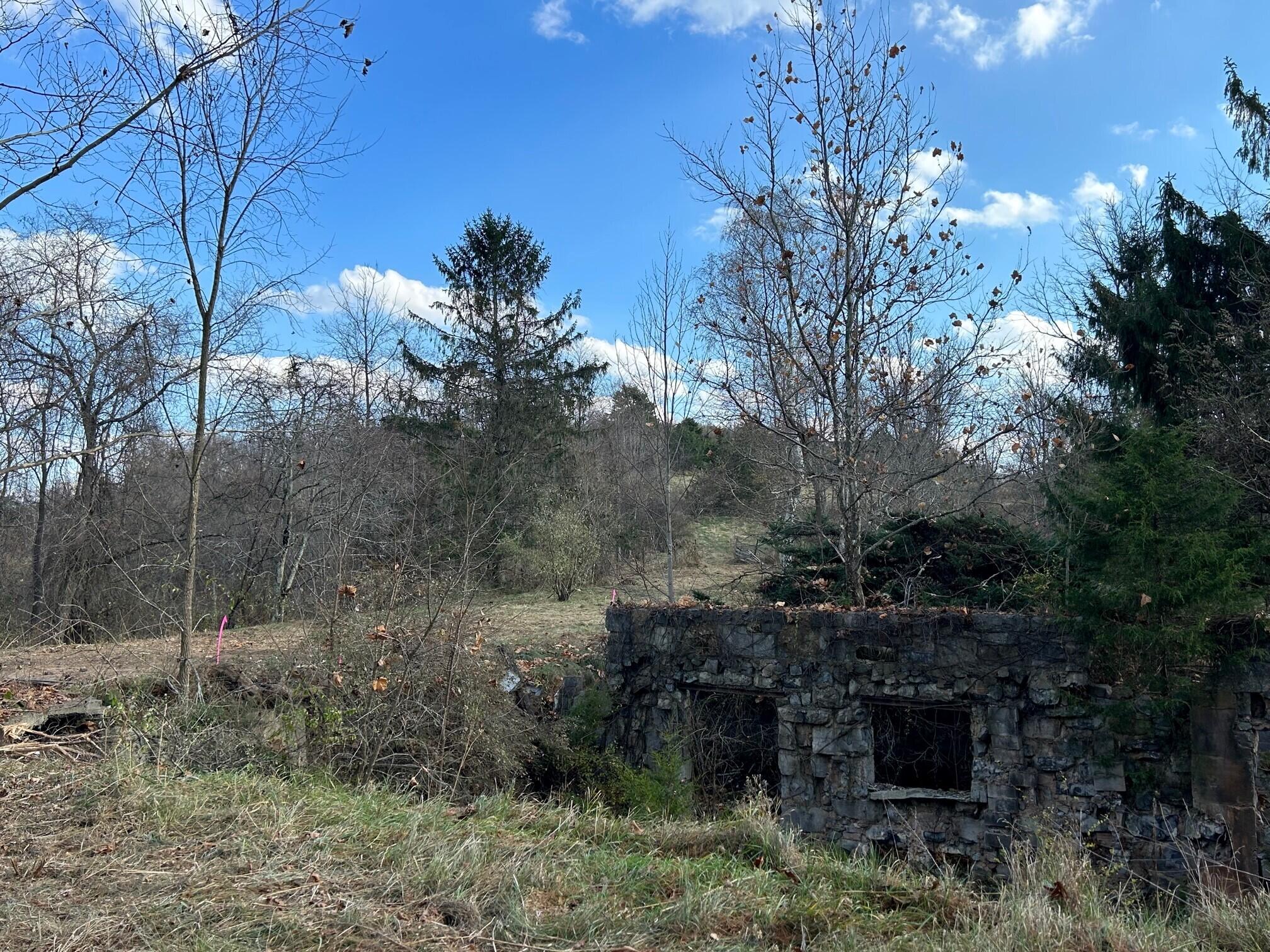 Toulee Ridges Lane Sinks Grove, WV 24976 - Photo 23 of 50 Gallery Image 23