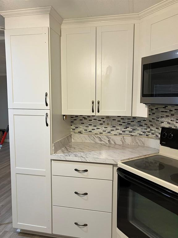 1305 Mohawk Circle Tavares, FL 32778 - Photo 10 of 31