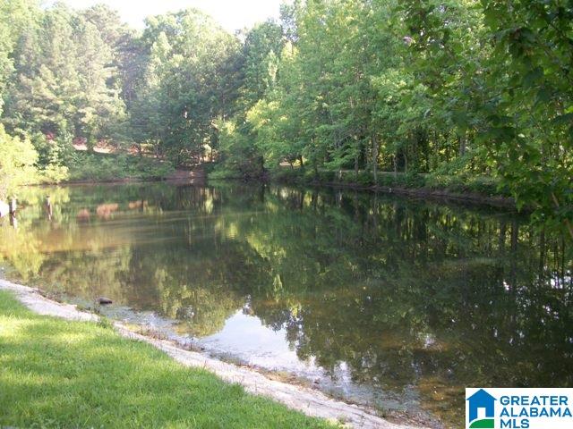 57 Almeta Lane Leeds, AL 35094 - Photo 25 of 36