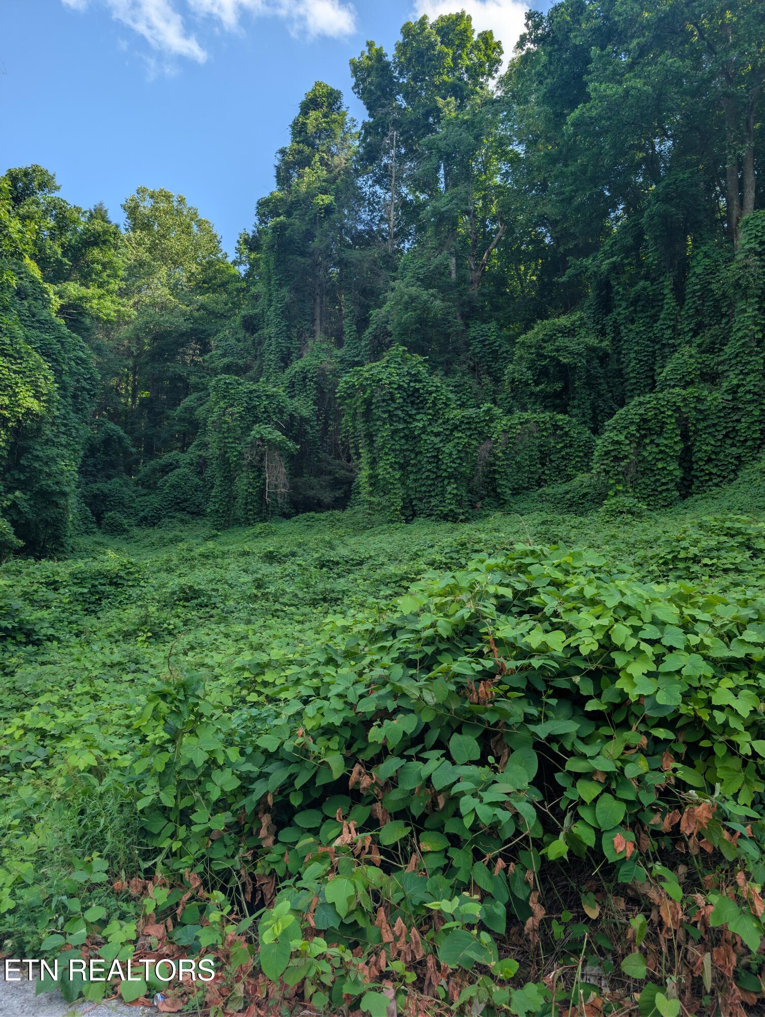 1577 Beans Fork Road Middlesboro, KY 40965 - Photo 2 of 2 1000018364