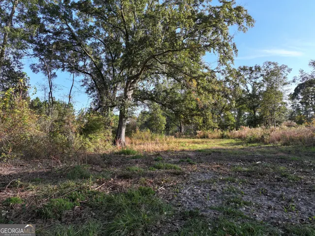 a view of outdoor space and yard